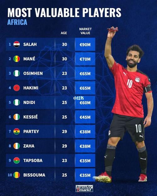 非洲足球排名前十的国家